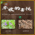 夏枯草苗种苗种子籽中药材夏枯球夏枯草种植包回收