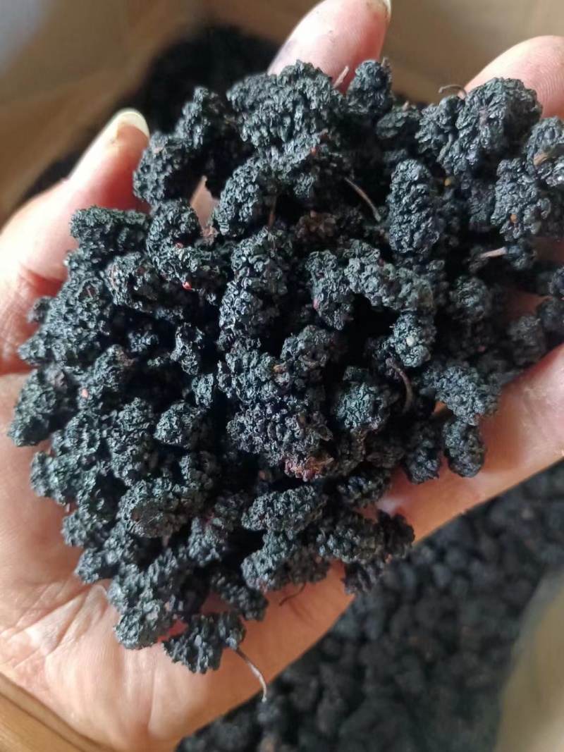 【桑葚干】河北水洗桑椹干药用桑葚干大量供应干净无沙