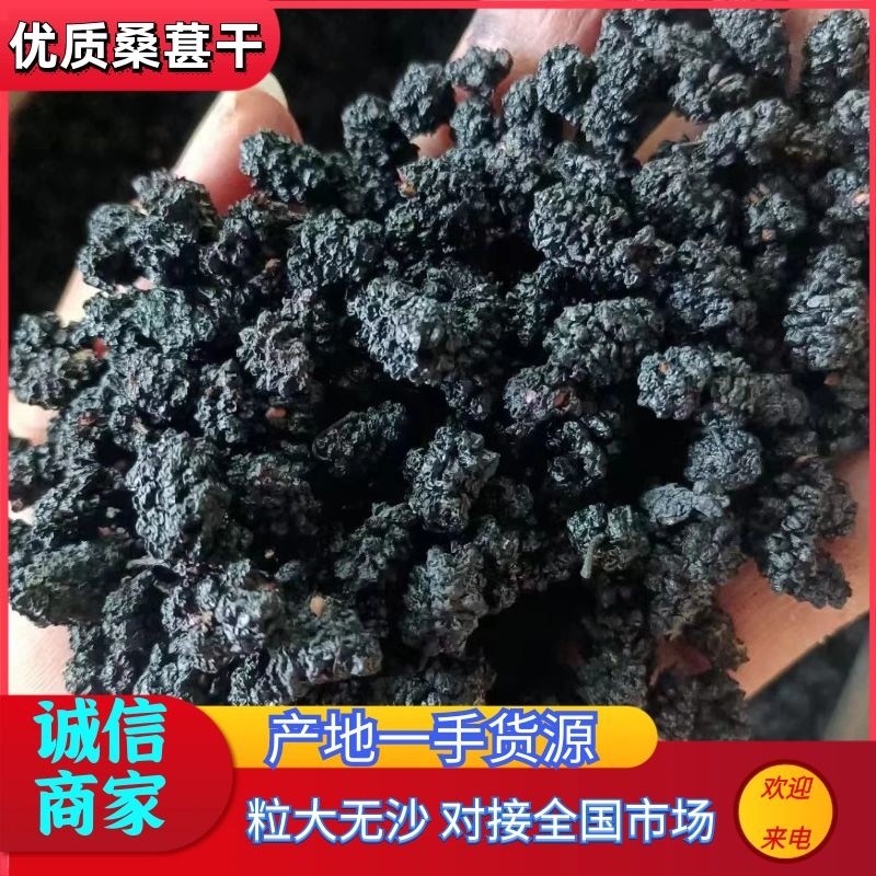 【桑葚干】河北水洗桑椹干药用桑葚干大量供应干净无沙