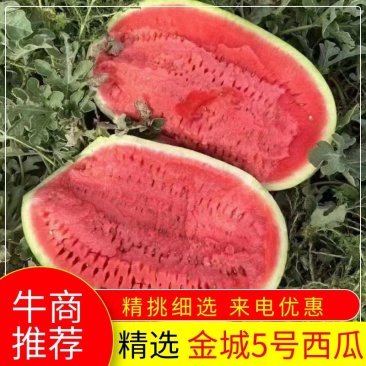 陕西金华一号西瓜产地直供货源充足可视频看货