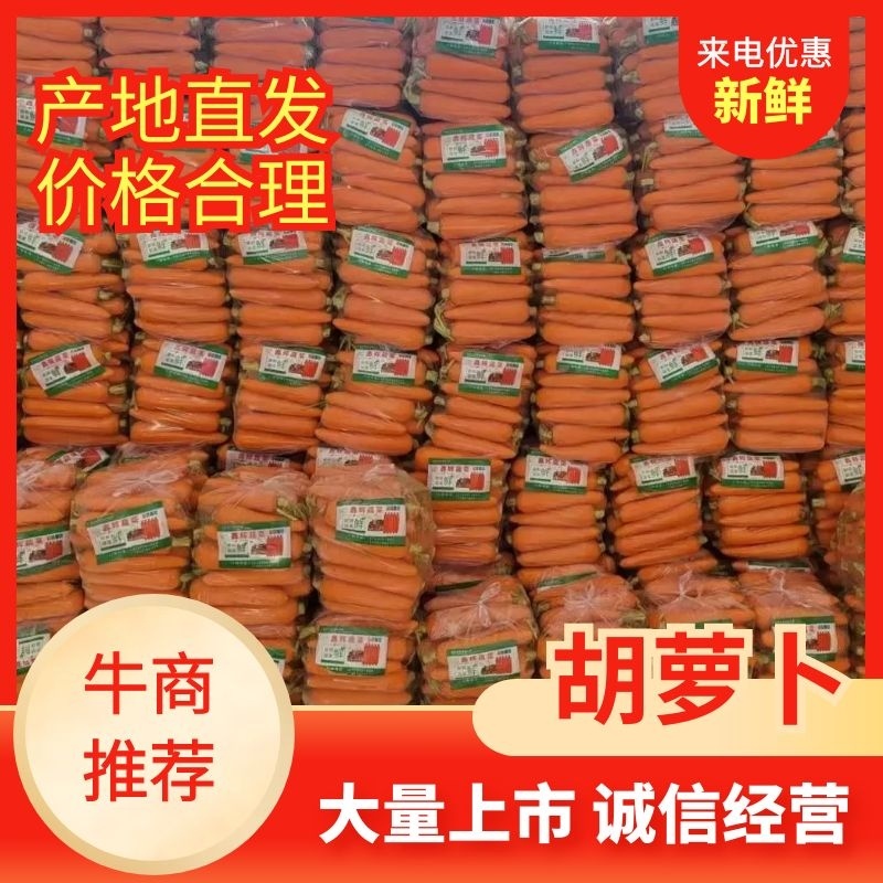 精品胡萝卜产地直供货源充足量大从优欢迎咨询