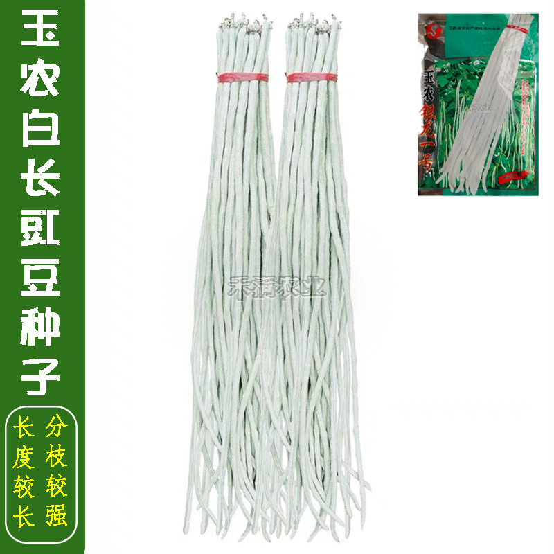 银龙一号白豆角种子白豇豆种籽三尺白玉白豆角种子豇豆种子