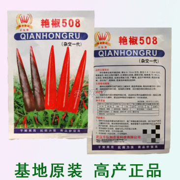 基地高产超特辣朝天椒早熟辣椒种籽小米辣种子朝天椒种子