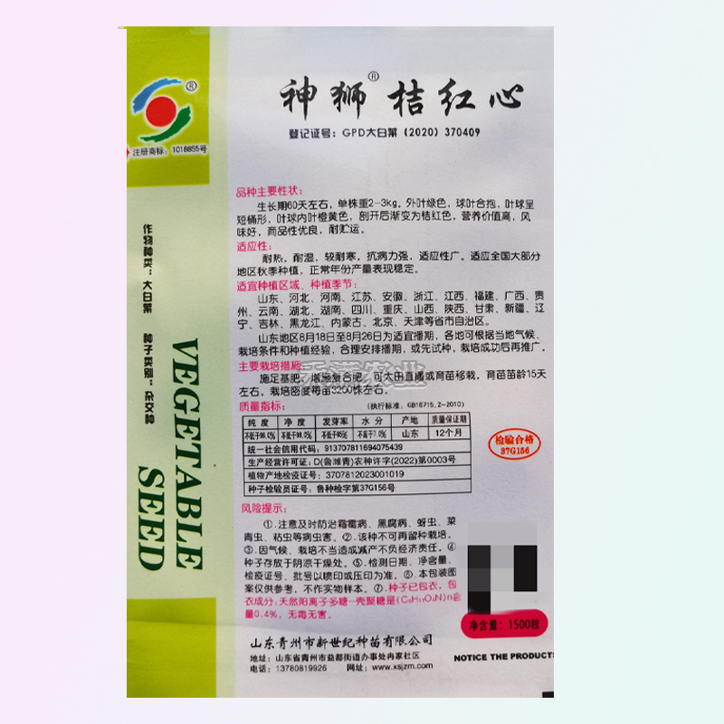 火凤凰大白菜红白菜新鲜蔬菜抗病高钙橘红心大白菜种子