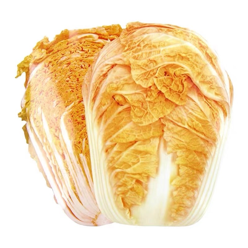 火凤凰大白菜红白菜新鲜蔬菜抗病高钙橘红心大白菜种子