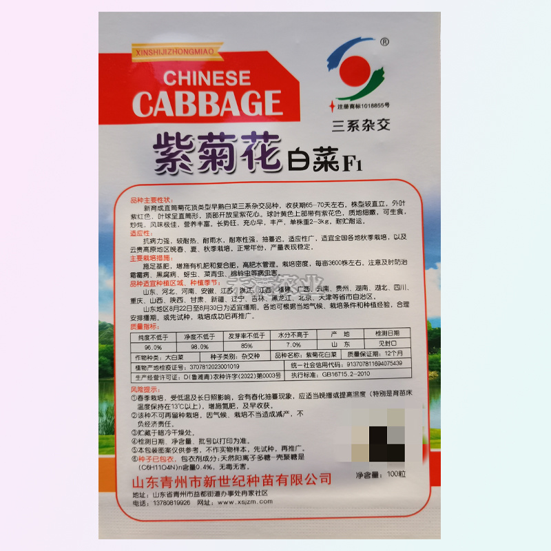 特色紫菊花白菜高端品种特色小白菜秋季种值小白菜种子