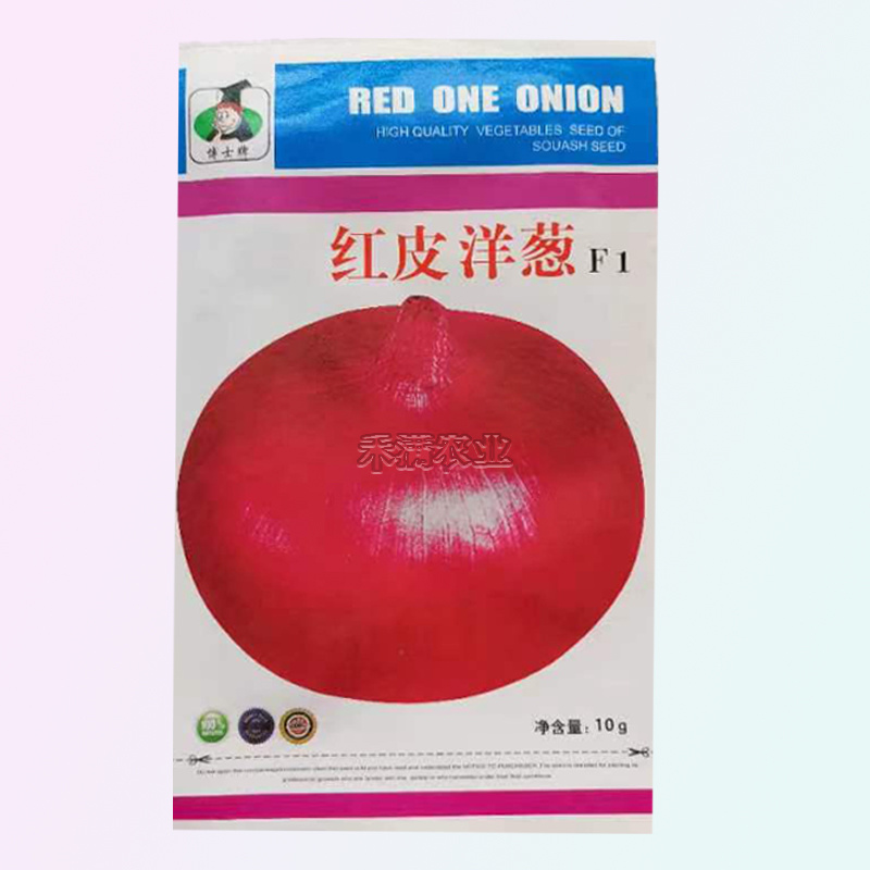 红皮洋葱种籽洋葱种子紫红皮黄皮高产洋葱圆葱早熟四季蔬菜种