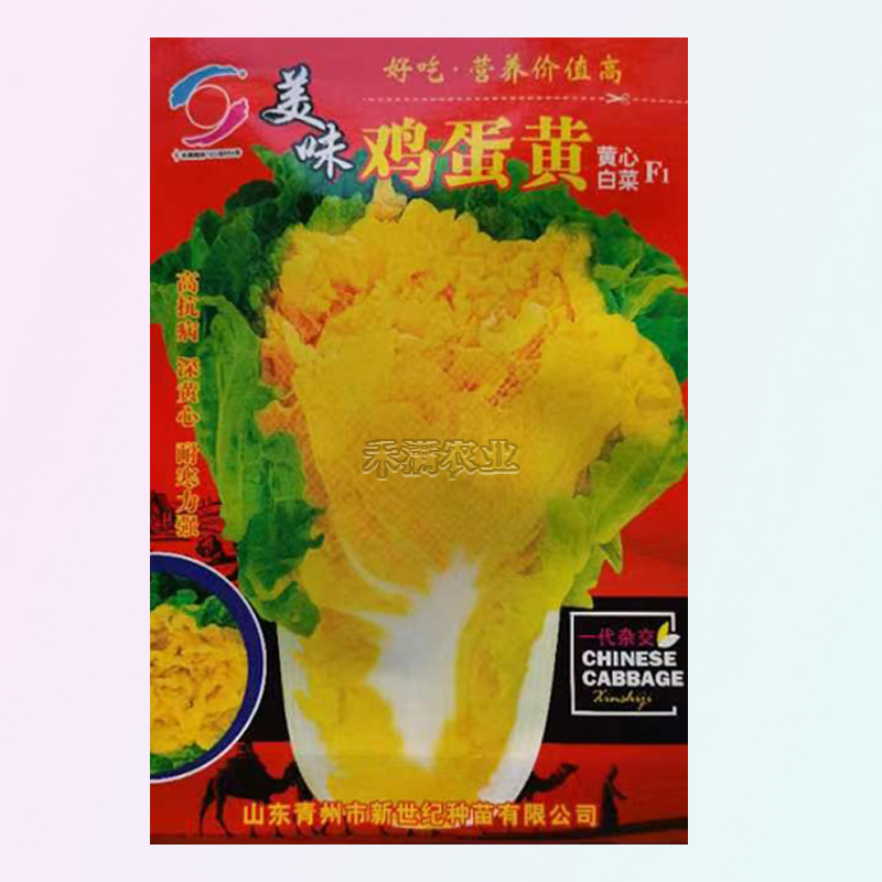 鸡蛋黄奶油大白菜种子真好吃黄心快菜籽农家夏秋大白菜种子