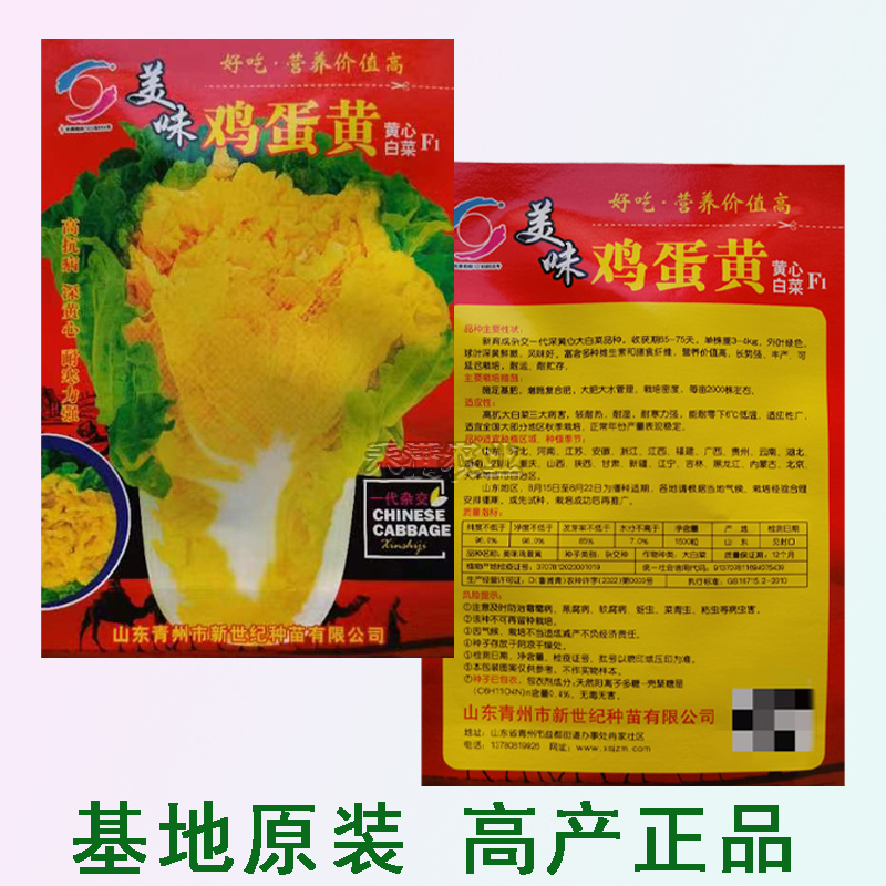 鸡蛋黄奶油大白菜种子真好吃黄心快菜籽农家夏秋大白菜种子