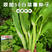50天早熟基地翠甜菜苔白菜苔种子耐热抗热小白菜苔种