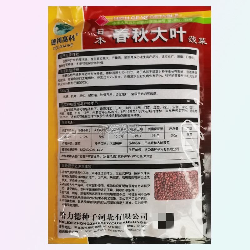 一斤春秋大叶菠菜种子圆叶菠菜四季播耐寒耐热高产速生包邮