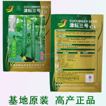 津耘3号黄瓜蔬菜种子春季秋季高产抗病夏季耐热油亮黄瓜种子