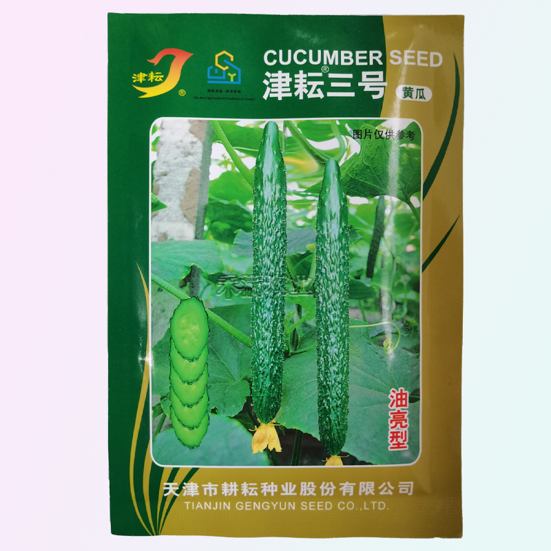 津耘3号黄瓜蔬菜种子春季秋季高产抗病夏季耐热油亮黄瓜种子