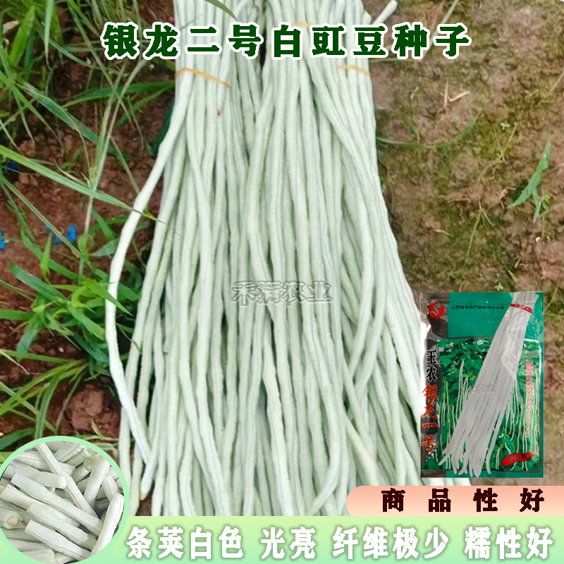 八月白长豆角种子白豇豆种籽春夏秋四季农家白条长豆角种子