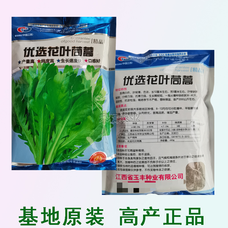小叶茼蒿种子大全花叶茼蒿种籽四季皇帝菜种茼蒿种子