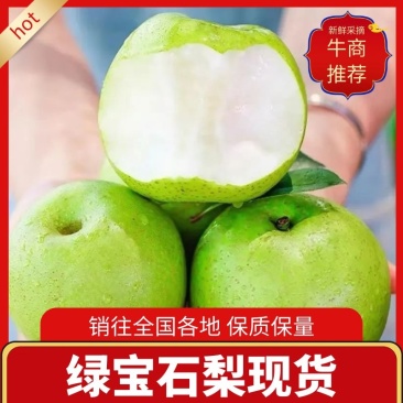 山东冠县绿宝石梨大量上市，货源充足欢迎选购，保质保量