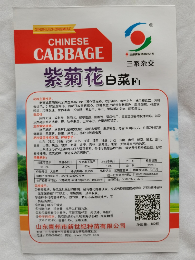 特色紫菊花白菜高端品种特色小白菜秋季种值小白菜种子