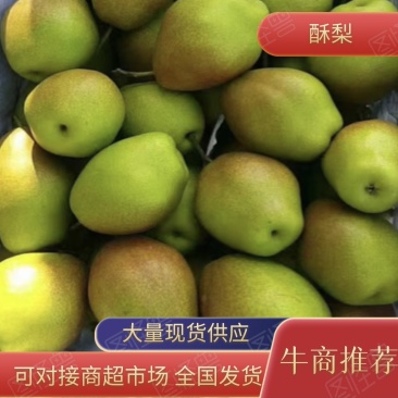 红香酥梨陕西大荔香梨价格，陕西红香酥梨价格欢迎咨询可视频