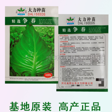 牛心甘蓝种子种籽卷心菜包心菜种孑菜籽大头菜牛心甘蓝种子