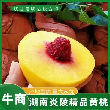 [精品黄桃]炎陵黄桃锦绣黄桃湖南黄桃按需配置品质