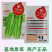芹菜种籽皇冠皇后西芹种籽香芹无筋实心西芹蔬菜种子芹菜种子