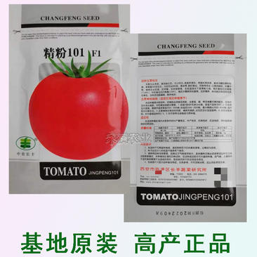 粉番茄种子非普罗旺斯沙瓤西红柿西红柿种子