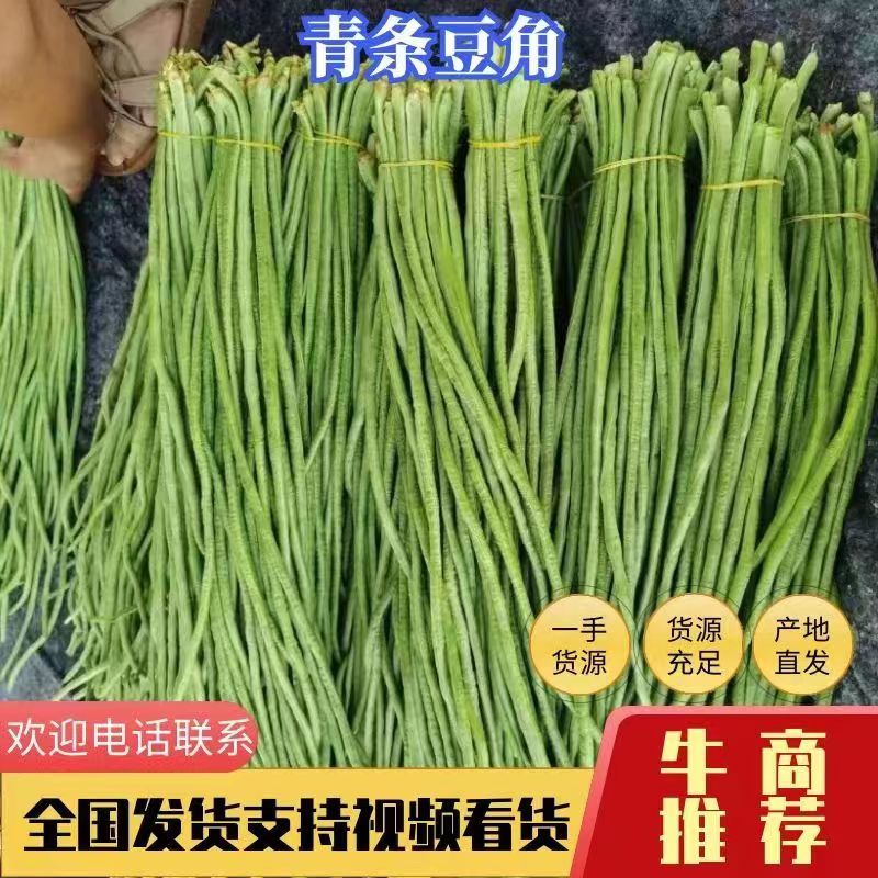 精品江苏豆角青条长豆角对接电商市场商超等,各类客户