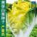 黄芽菜种子黄心菜种籽黄芽14大白菜蔬菜种子味甜白菜种子