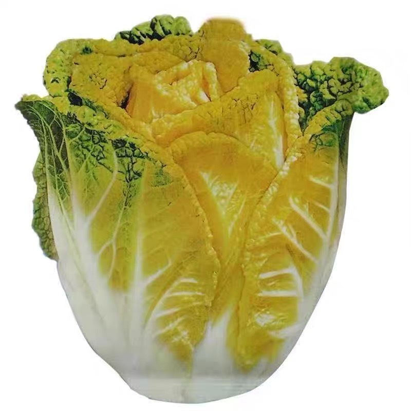 黄芽菜种子黄心菜种籽黄芽14大白菜蔬菜种子味甜白菜种子