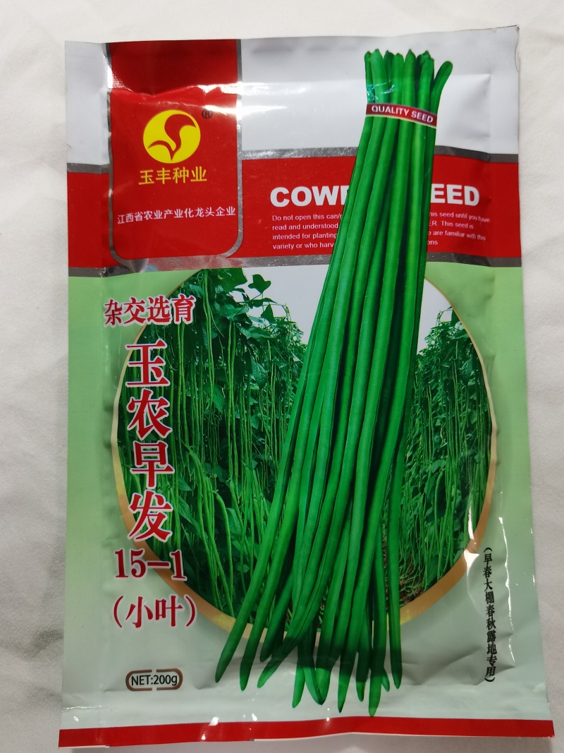 特长绿豇豆种子春秋季绿条长豆角种籽四季豆菜豆角种子