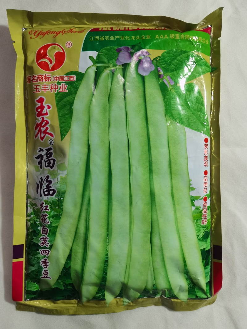 上架四季豆种子高产爬藤架豆春秋芸豆种子四季易种四季豆种子