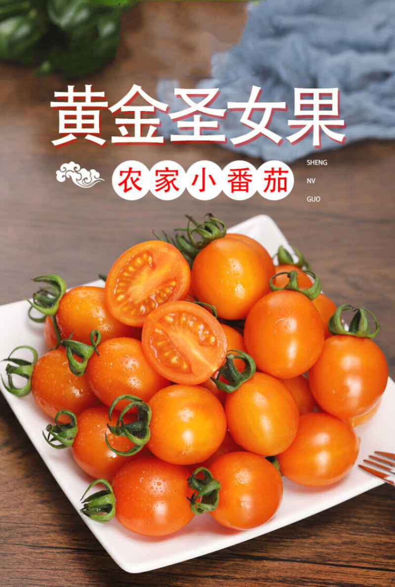 苗场直发黄色圣女果苗