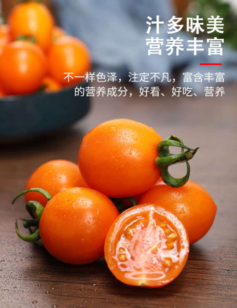 苗场直发黄色圣女果苗