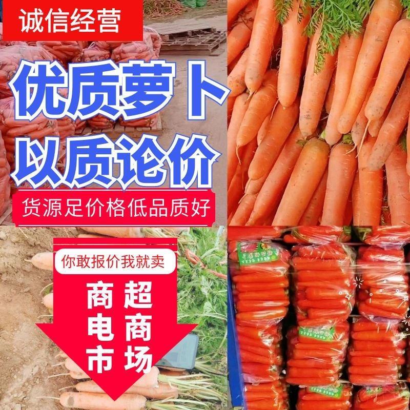 精品水洗三红胡萝卜商超品质代发全国一手货源价格低
