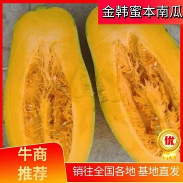湖蜜本南瓜金韩蜜本南瓜4~5斤以上长条形欢迎来电
