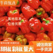 新鲜彩椒甜椒，纯人工种植采集，可发往全国各地