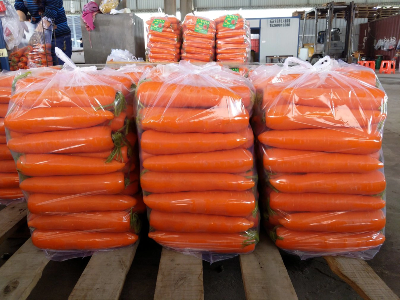 【推荐】水洗三红胡萝卜精品商超品质代发全国一手货源