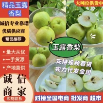 玉露香梨一手货源量大从优质量保证全国发货