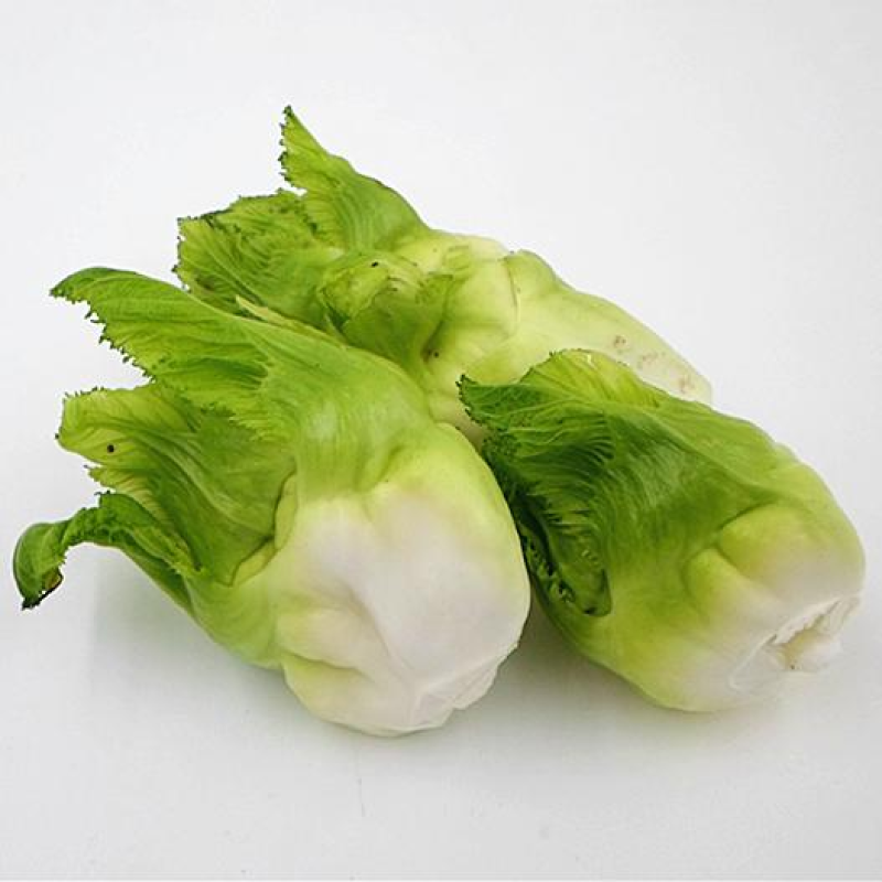 四川正宗罐儿菜种子大头菜薄皮棒棒菜种子罐儿菜种子