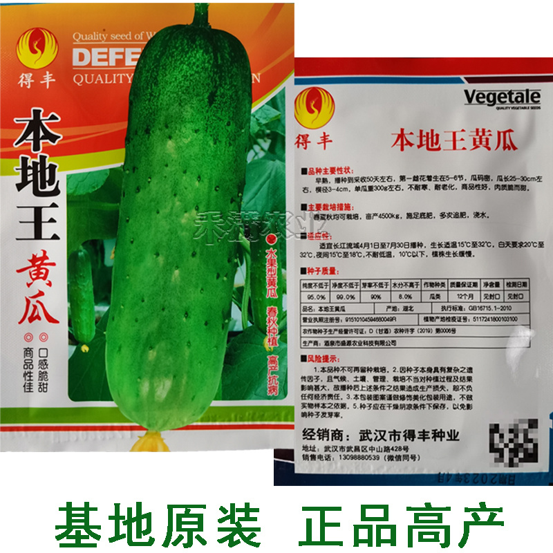 本地王黄瓜种子春秋露地栽大田小黄瓜旱黄瓜种子