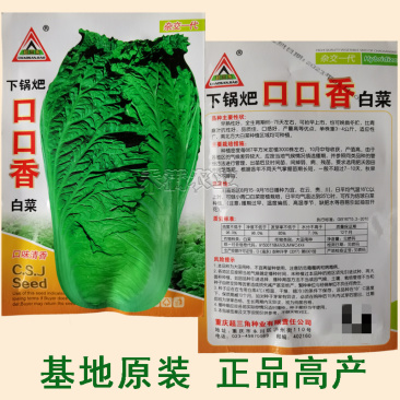 口口香秋季高产抗病白菜种子抗病10克口感好白菜种子