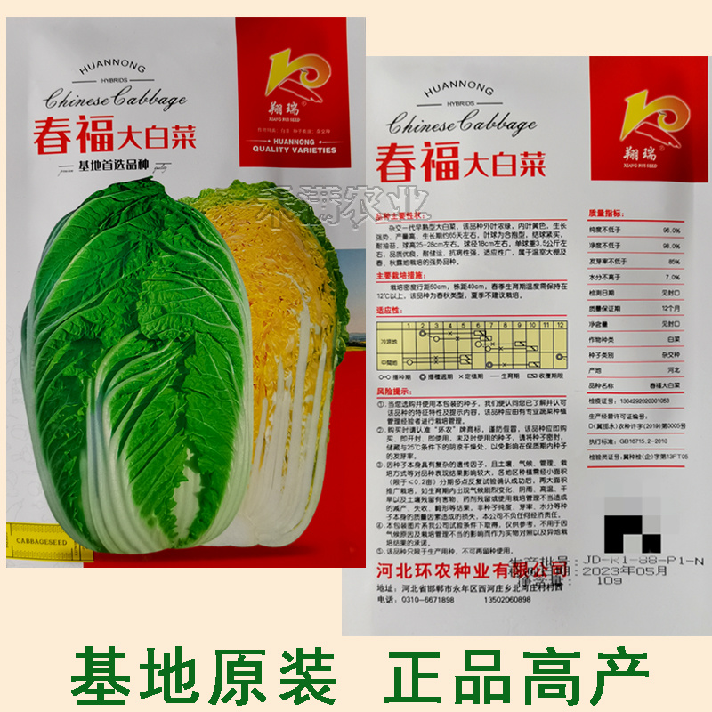 春福黄心白菜种子黄芯秋播大白菜种籽冬储白菜耐寒口感好秋冬