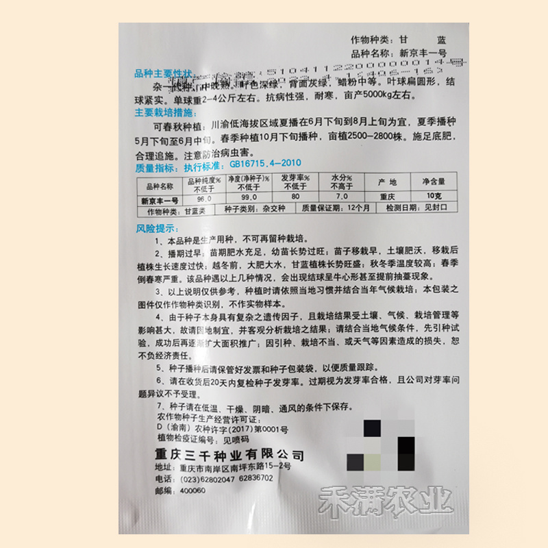 新品种新京丰一号甘蓝种子高产秋播蔬菜种孑包菜甘蓝种子