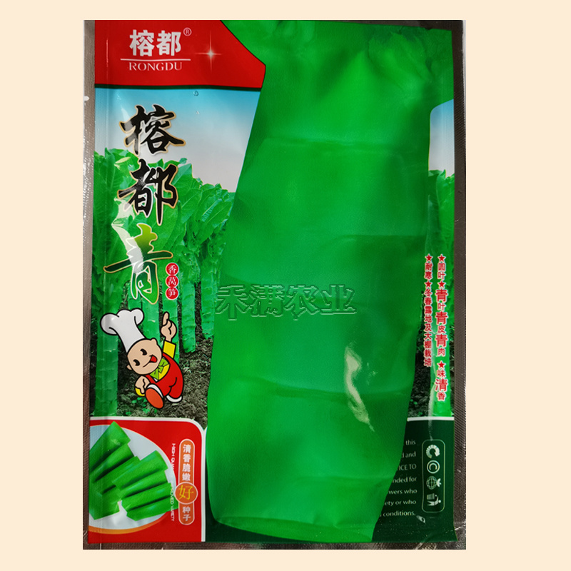 榕都青莴笋种子莴苣种籽耐湿热抗高温青皮莴笋种子蔬菜种子大