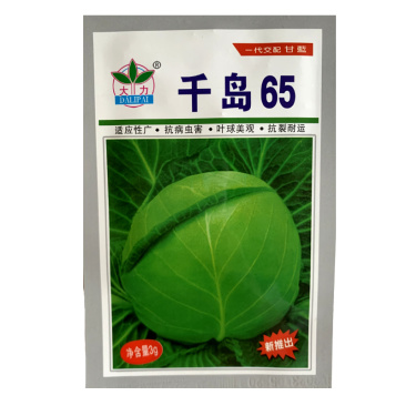 甘蓝种子日本铁头甘蓝种籽包菜卷心菜花莲白苗子甘蓝种子