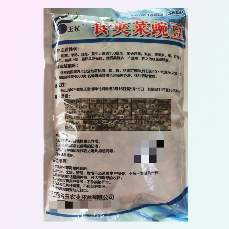 甜脆豌豆种子青豆台湾四季荷兰豆春季冬季荚荷兰豆豌豆种子