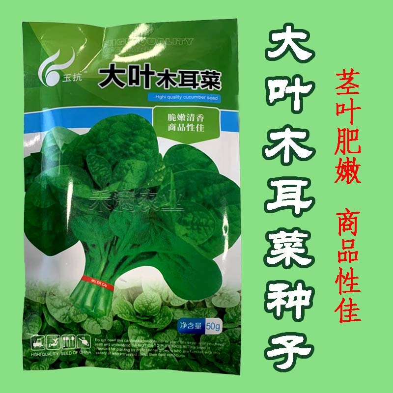 大叶木耳菜种籽蔬菜种子四季春秋冬春季种孑秋季木耳菜种子