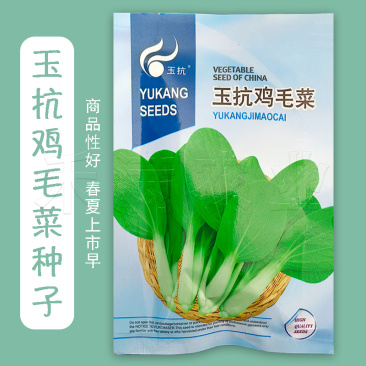 批发23天鸡毛菜种子耐热高产一年四季小白菜种子阳台盆