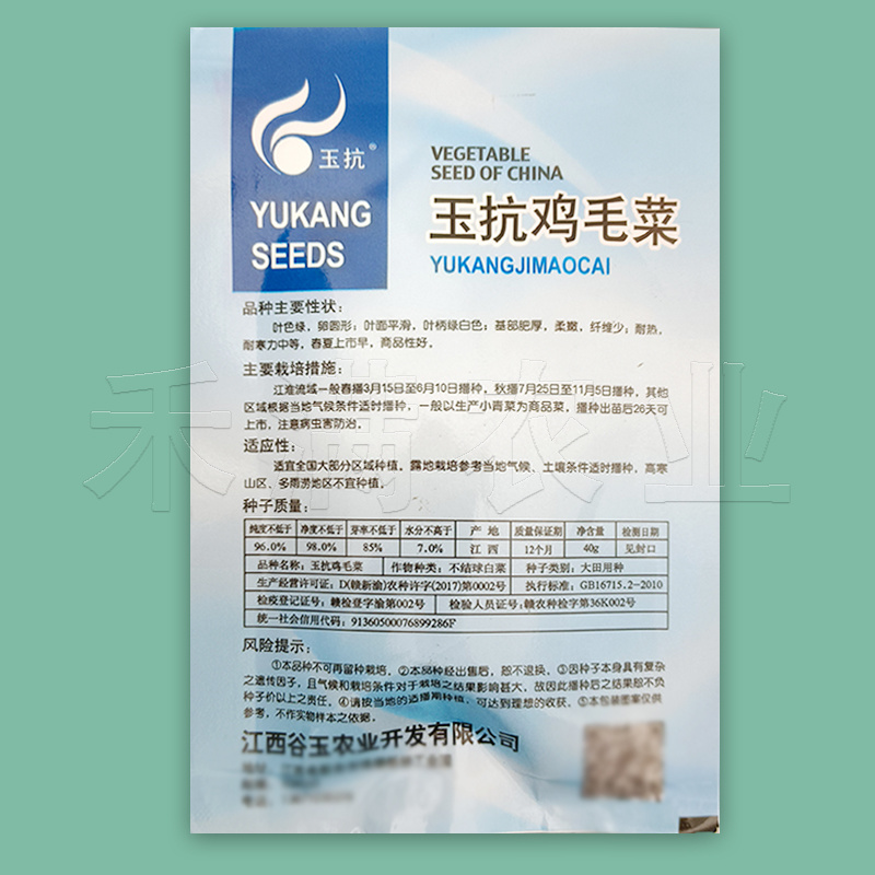 批发23天鸡毛菜种子耐热高产一年四季小白菜种子阳台盆