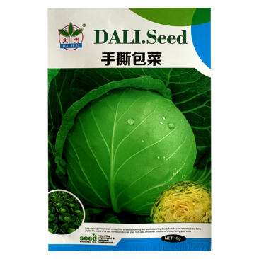 春秋播手撕包菜甘蓝种子露天种绿甘蓝包菜菜籽四季播甘蓝种子